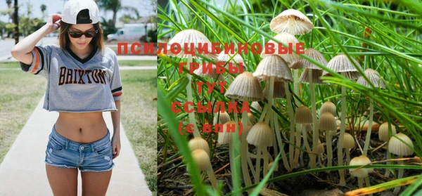 прущая мука Кулебаки