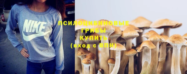 прущая мука Кулебаки
