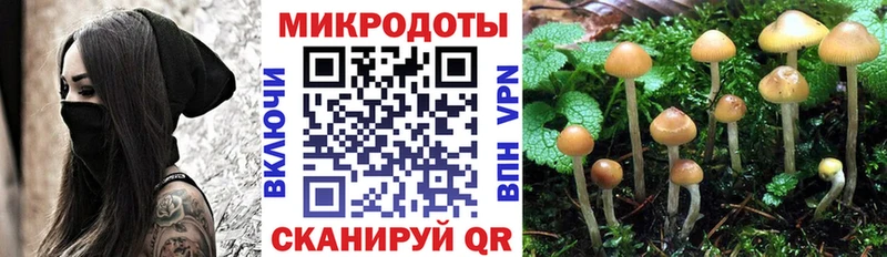 Псилоцибиновые грибы MAGIC MUSHROOMS mega онион Евпатория