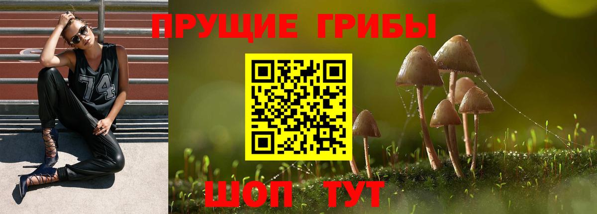 Галлюциногенные грибы Cubensis Евпатория