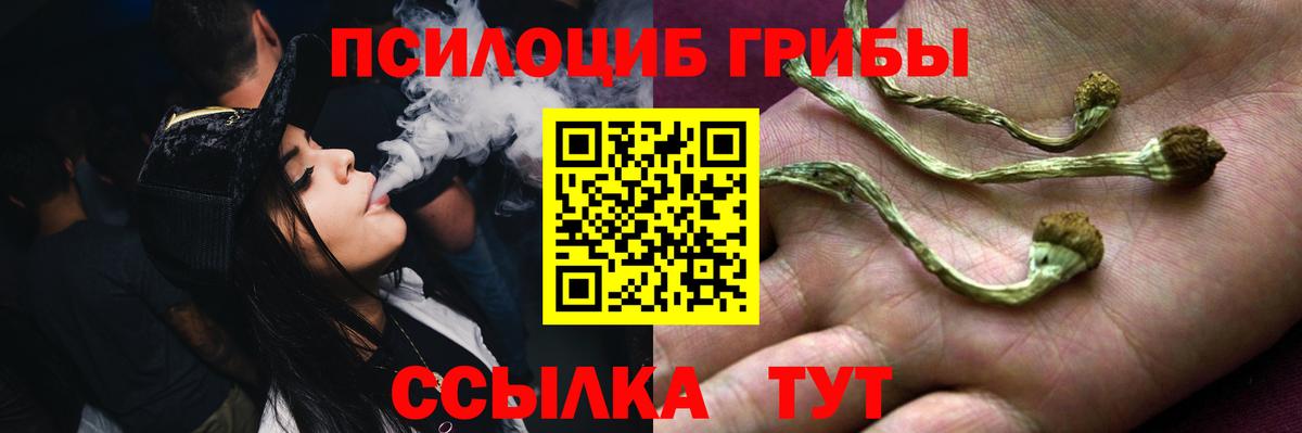 Галлюциногенные грибы мицелий  Вход с VPN  Евпатория 