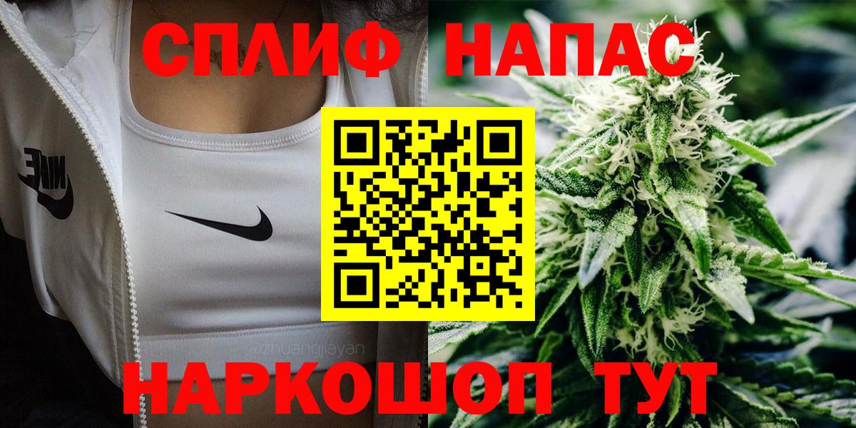 Псилоцибиновые грибы Евпатория